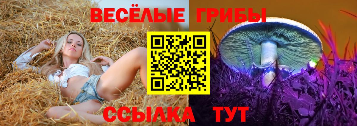 Нягань  Псилоцибиновые грибы Psilocybe  Псилоцибиновые грибы Cubensis  Вход с VPN 